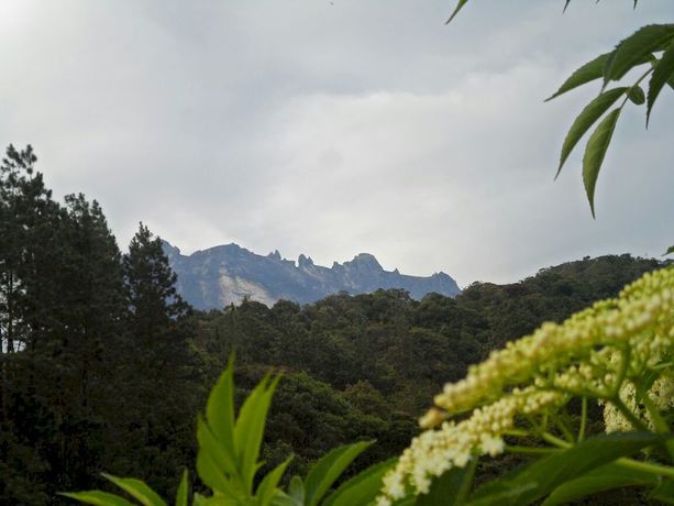 Imagen de los interiores del Hotel Ayana Holiday Resort. Foto 15