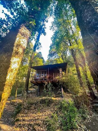 Imagen general del Hotel Ayar Jungle Resort. Foto 11