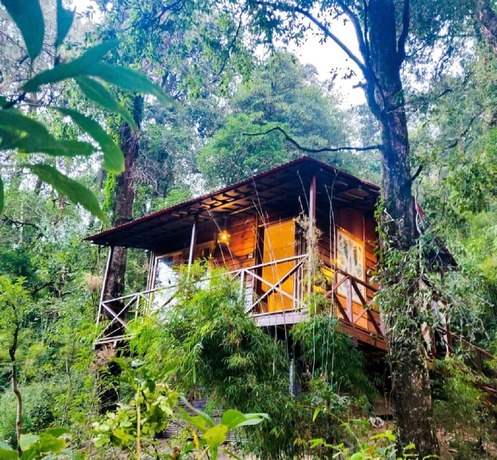 Imagen de la habitación del Hotel Ayar Jungle Resort. Foto 16