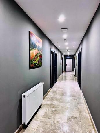 Imagen general del Hotel Ayder Palazzo. Foto 17