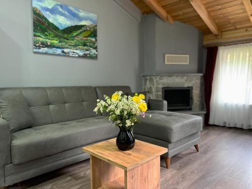 Imagen de la habitación del Hotel Ayder Palazzo. Foto 20