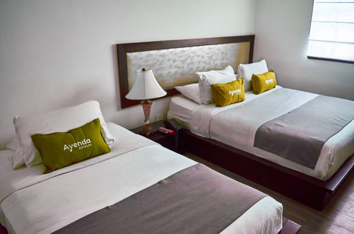 Imagen de la habitación del Hotel Ayenda 1076 Eco Boutique. Foto 13