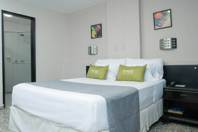 Imagen general del Hotel Ayenda 1313 Barahona 72. Foto 6