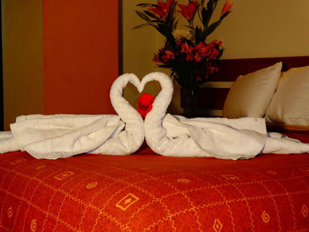 Imagen de la habitación del Hotel Ayenda Casa Consuelo. Foto 6