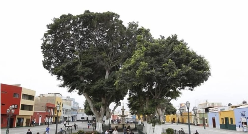 Imagen general del Hotel Ayenda Las Mercedes. Foto 2