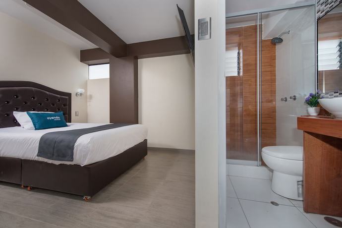 Imagen de la habitación del Hotel Ayenda Olimpo Sauna and Spa. Foto 7