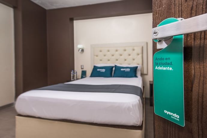 Imagen de la habitación del Hotel Ayenda Olimpo Sauna and Spa. Foto 18