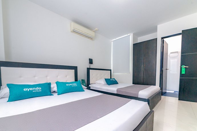 Imagen de la habitación del Hotel Ayenda Royal Fenix. Foto 13