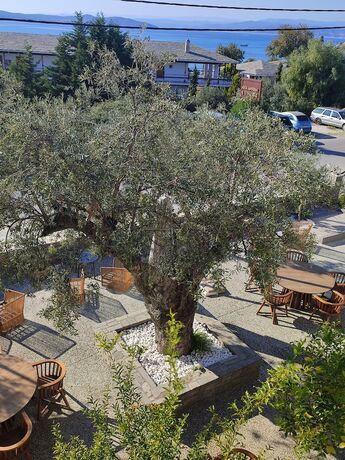 Imagen general del Hotel Ayia Marina Suites. Foto 17