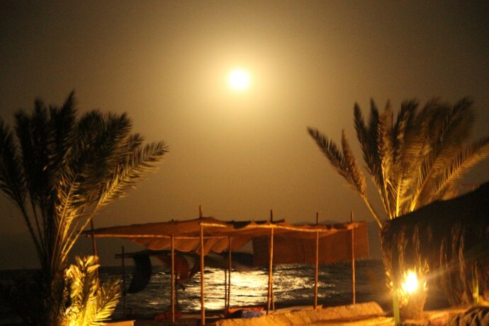 Imagen general del Hotel Ayla Camp. Foto 6