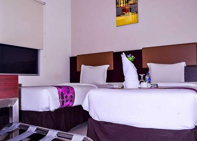 Imagen general del Hotel Ayla City. Foto 6