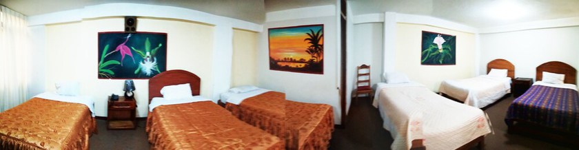 Imagen de la habitación del Hotel Ayllus. Foto 9