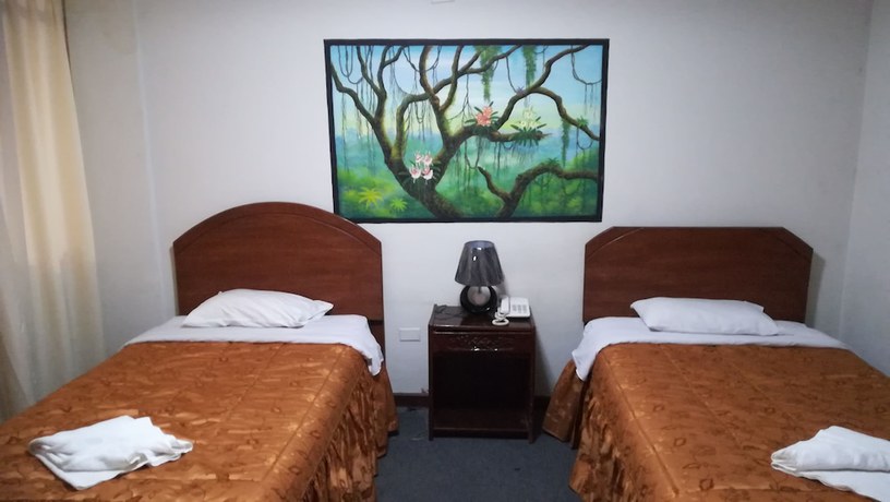 Imagen de la habitación del Hotel Ayllus. Foto 13