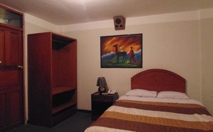 Imagen de la habitación del Hotel Ayllus. Foto 14