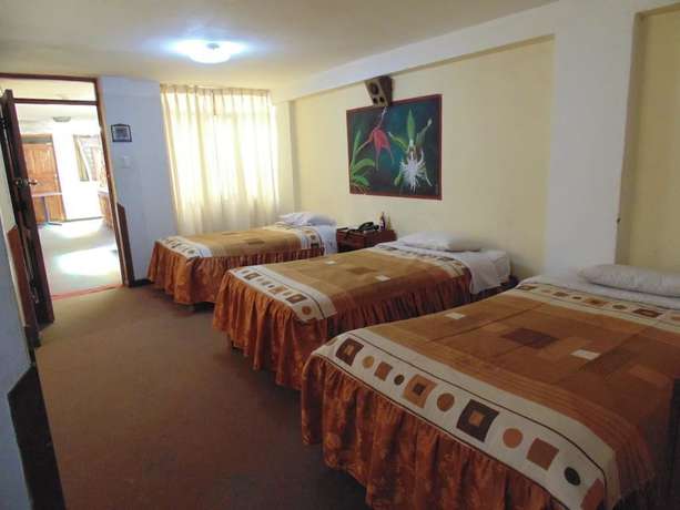 Imagen de la habitación del Hotel Ayllus. Foto 15