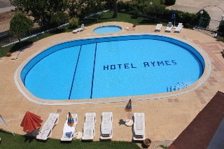 Imagen de la piscina del Hotel Aymes. Foto 11