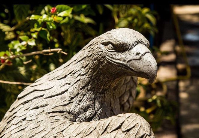 Imagen de la habitación del Hotel Ayo Homtel. Foto 12