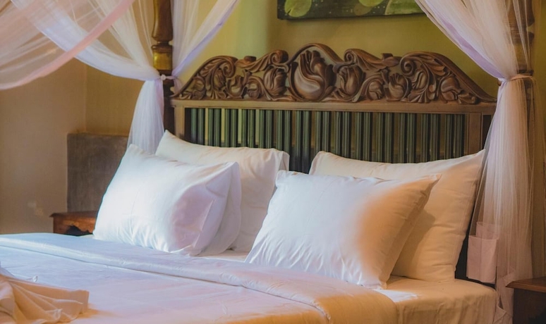 Imagen de la habitación del Hotel Ayur Ayur Ayurveda Retreat. Foto 10