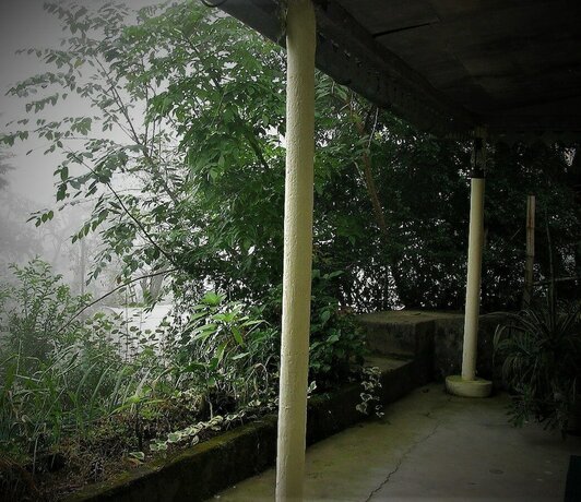 Imagen general del Hotel Ayush Cottages by OpenSky. Foto 4