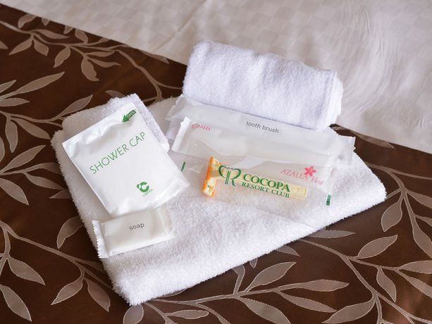 Imagen de la habitación del Hotel Azalea. Foto 4