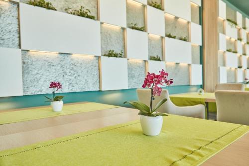Imagen general del Hotel Azaleea Mamaia Nord. Foto 1
