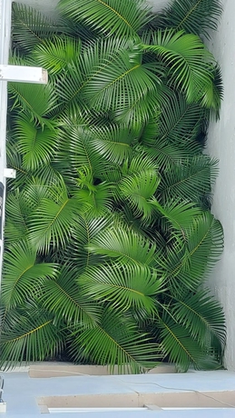 Imagen de la habitación del Hotel BAHIA SAN ANDRES HOSPEDAJE. Foto 6