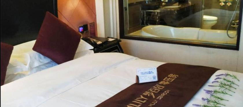 Imagen de la habitación del Hotel BAILI ZHONGZHOU INT. HOTEL (INT. TRADE 360). Foto 3