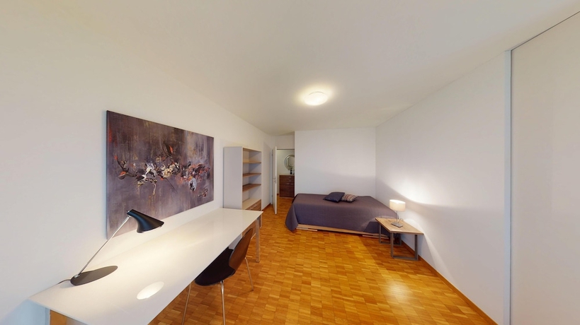 Imagen de la habitación del Hotel BASELLODGING Sch&ouml;nau Serviced Living. Foto 9