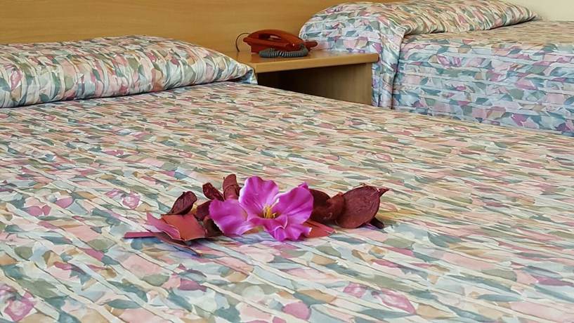 Imagen de la habitación del Hotel BB Porto Piombino. Foto 5