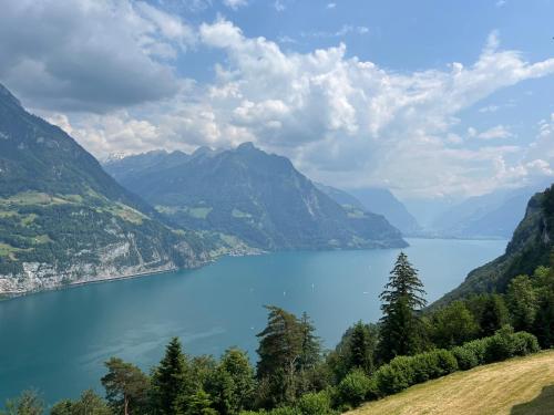 Imagen de la habitación del Hotel BELLEVUE, SEELISBERG . Foto 19