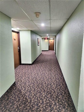 Imagen general del Hotel BEST STAY INN. Foto 18