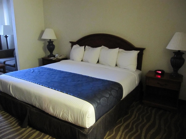 Imagen de la habitación del Hotel BEST WESTERN WINDSOR SUITES. Foto 4