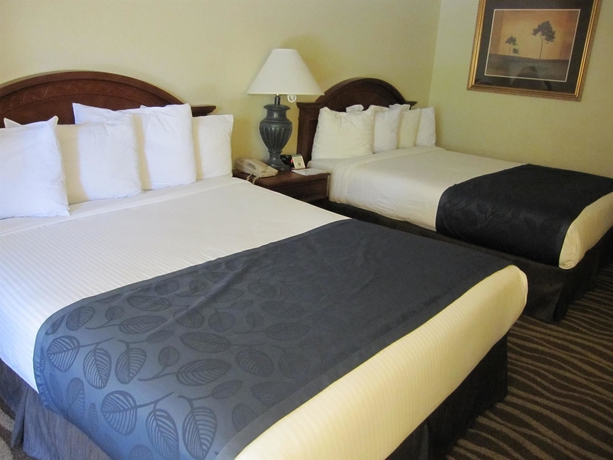 Imagen de la habitación del Hotel BEST WESTERN WINDSOR SUITES. Foto 7