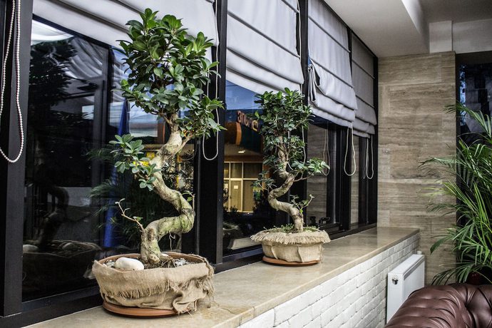 Imagen de los interiores del Hotel BG Palace. Foto 13