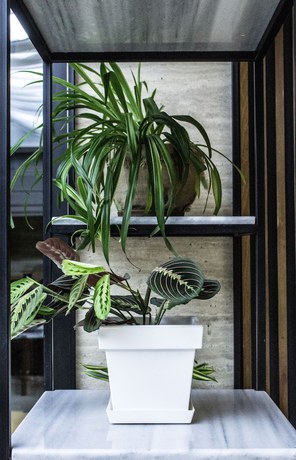 Imagen de los interiores del Hotel BG Palace. Foto 15