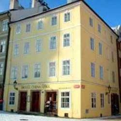 Imagen general del Hotel BLACK FOX. Foto 2