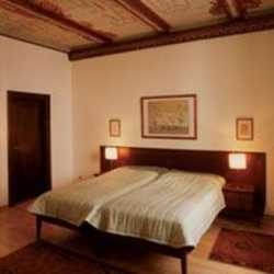 Imagen general del Hotel BLACK FOX. Foto 5