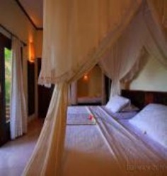Imagen general del Hotel BLUE MOON VILLAS. Foto 3