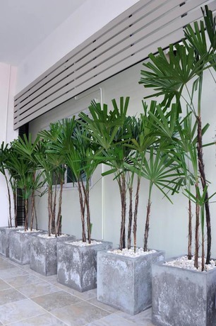Imagen de los exteriores del Hotel Baai Baai Mansion. Foto 11