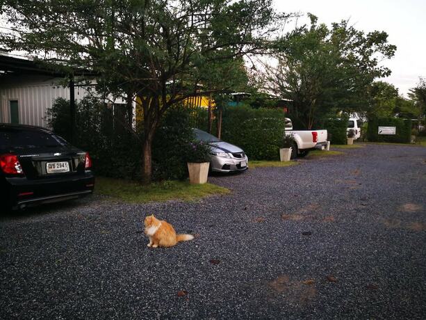 Imagen general del Hotel Baan Amorn Resort. Foto 6