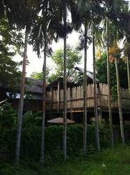 Imagen de la habitación del Hotel Baan Boo Loo. Foto 47