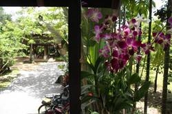 Imagen de la habitación del Hotel Baan Boo Loo. Foto 60
