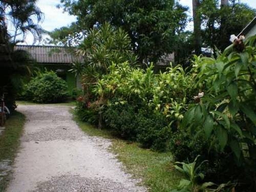 Imagen general del Hotel Baan Bua Guest House. Foto 7