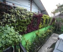 Imagen general del Hotel Baan Bua Homestay. Foto 35