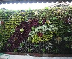 Imagen general del Hotel Baan Bua Homestay. Foto 42