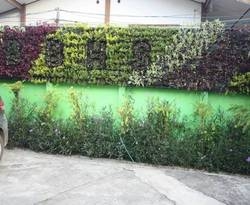 Imagen general del Hotel Baan Bua Homestay. Foto 46