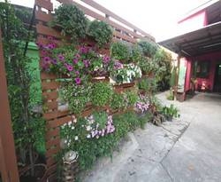 Imagen general del Hotel Baan Bua Homestay. Foto 53