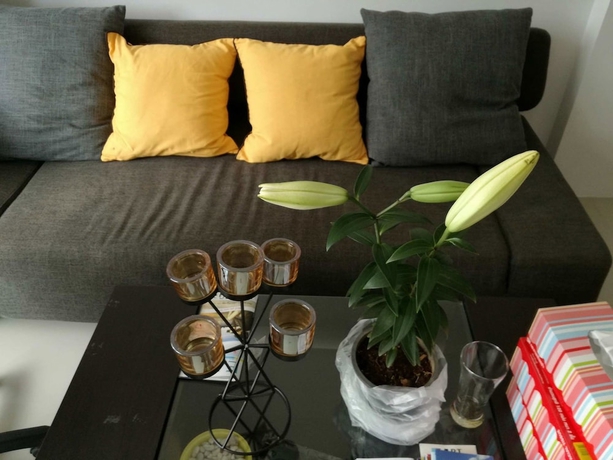 Imagen de los interiores del Hotel Baan Der Bruyn. Foto 17