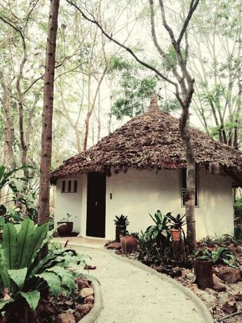 Imagen general del Hotel Baan Huay Namrin. Foto 3