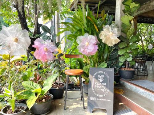 Imagen general del Hotel Baan Klang Suan Resort. Foto 19